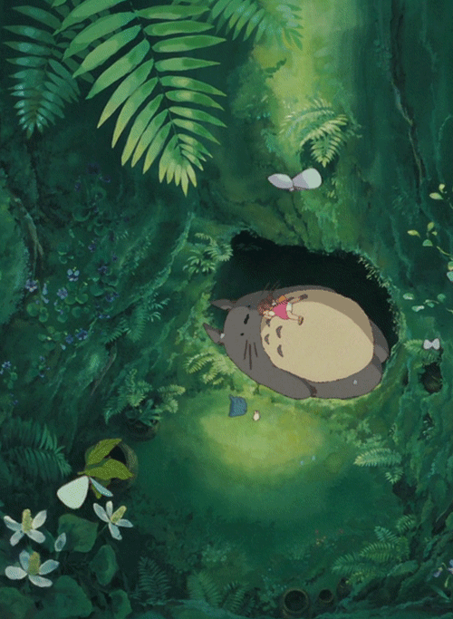 Mi-vecino-Totoro-3